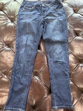 Jag Jeans Women's Skinny Jeans in Dark Blue